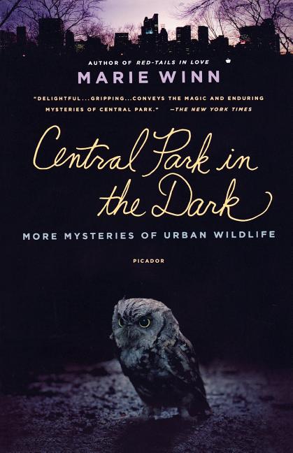 Item #295154 Central Park in the Dark: More Mysteries of Urban Wildlife. Marie Winn