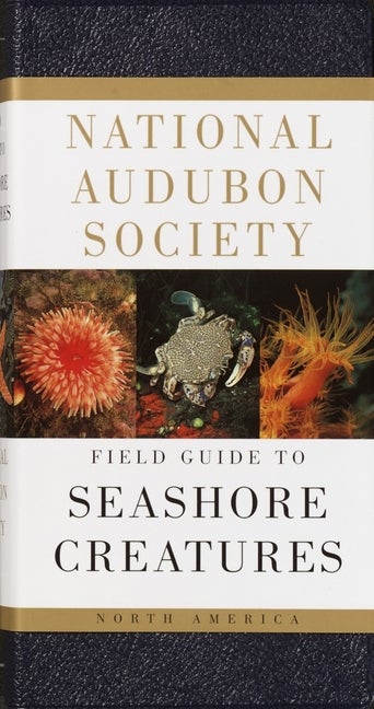 Item #297014 National Audubon Society Field Guide to Seashore Creatures: North America (National Audubon Society Field Guides). Norman A. Meinkoth.