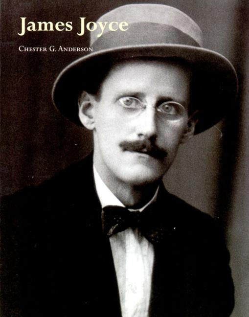 Item #272178 James Joyce (Literary Lives Series). Chester G. Anderson
