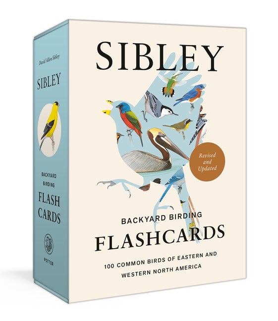 Item #305261 Sibley Backyard Birding Flashcards, Revised and Updated: 100 Common Birds of Eastern...