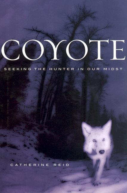 Item #264442 Coyote: Seeking the Hunter in Our Midst. Catherine Reid