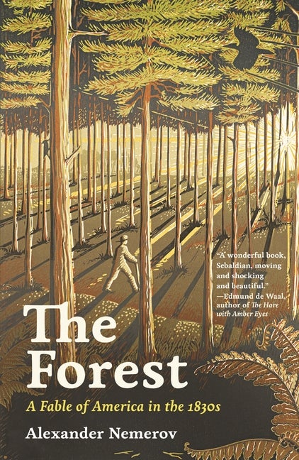Item #293236 The Forest: A Fable of America in the 1830s. Alexander Nemerov.