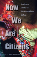 Item #319539 Now We Are Citizens: Indigenous Politics in Postmulticultural Bolivia. Nancy Grey...