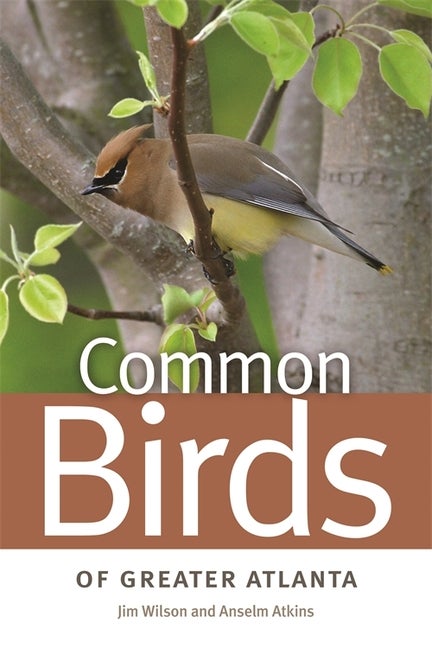 Item #303845 Common Birds of Greater Atlanta. Jim Wilson, Anselm, Atkins