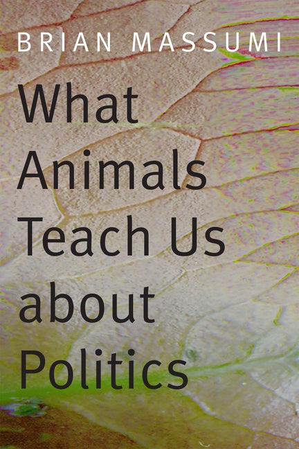 Item #304598 What Animals Teach Us about Politics. Brian Massumi