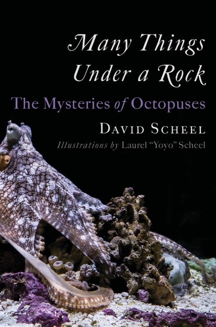 Item #299830 Many Things Under a Rock: The Mysteries of Octopuses. David Scheel