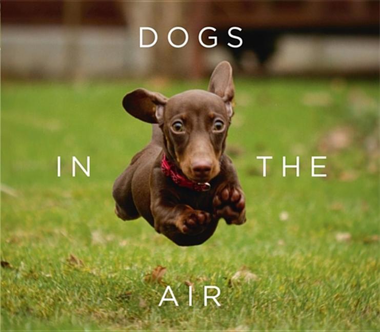 Item #294012 Dogs in the Air. Jack Bradley