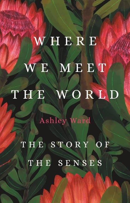 Item #293982 Where We Meet the World: The Story of the Senses. Ashley Ward.