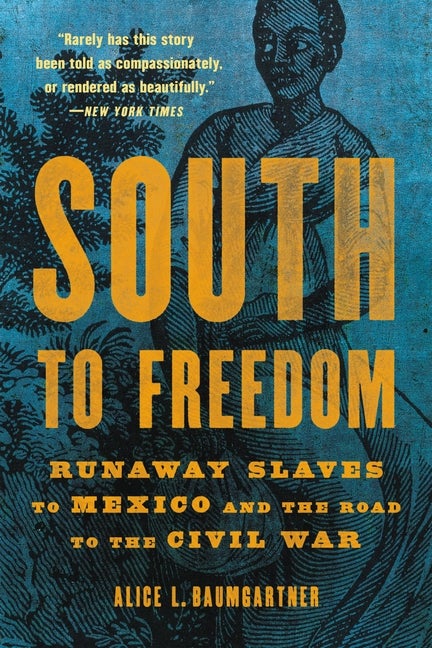 Item #297443 South to Freedom: Runaway Slaves to Mexico and the Road to the Civil War. Alice L....