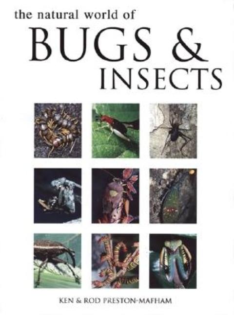 Item #295392 Natural World of Bugs & Insects. Ken Preston-Mafham.