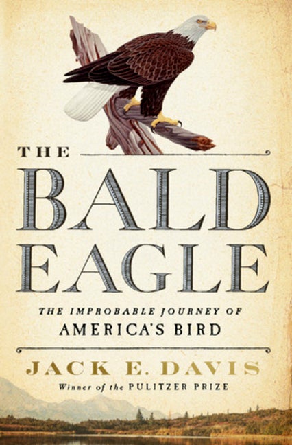 Item #266146 The Bald Eagle: The Improbable Journey of America's Bird. Jack E. Davis.