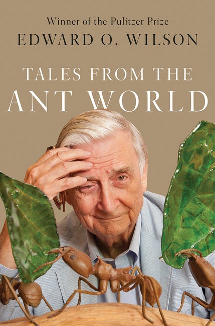 Item #277185 Tales from the Ant World. Edward O. Wilson
