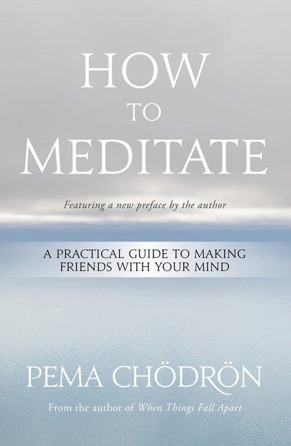 Item #318936 How to Meditate: A Practical Guide to Making Friends with Your Mind. Pema...