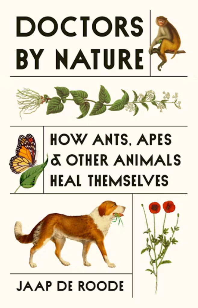Jaap de Roode - Doctors by Nature