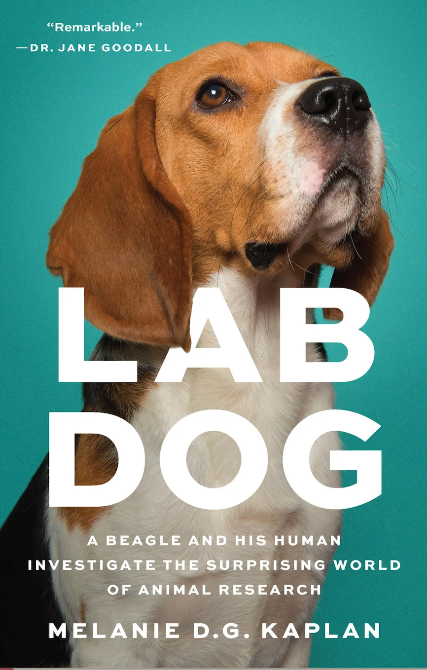 Melanie D.G. Kaplan in conversation with 11Alive's Kaitlyn Ross – Lab Dog 