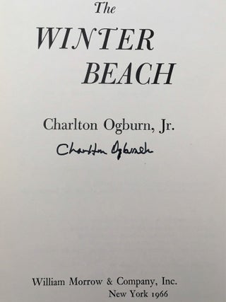 The Winter Beach