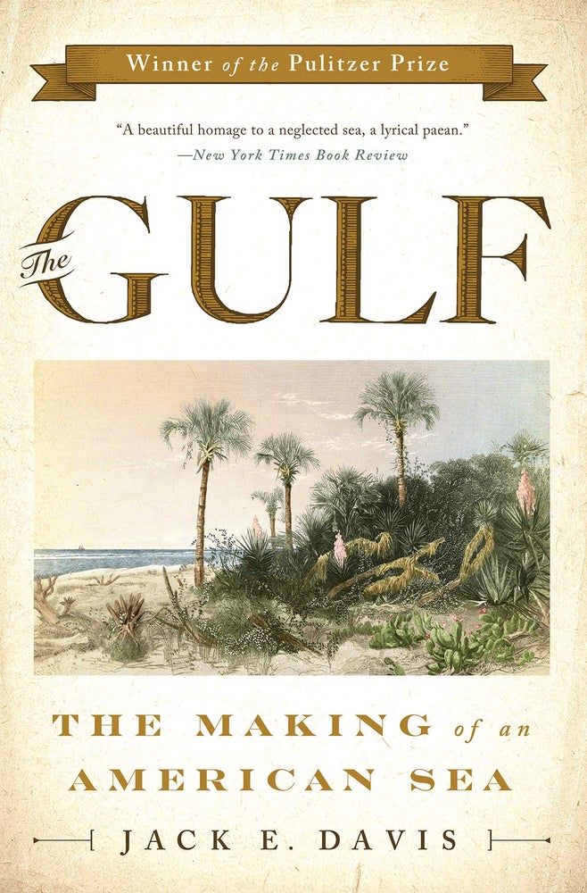 Item #294167 The Gulf. Jack E. Davis.