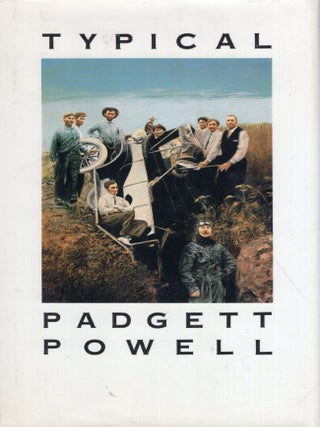 Item #345523 Typical: Short Stories. Padgett Powell
