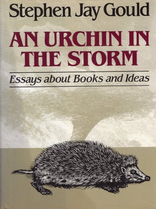 Item #388382 An Urchin in the Storm: Essays About Books and Ideas. Stephen Jay Gould